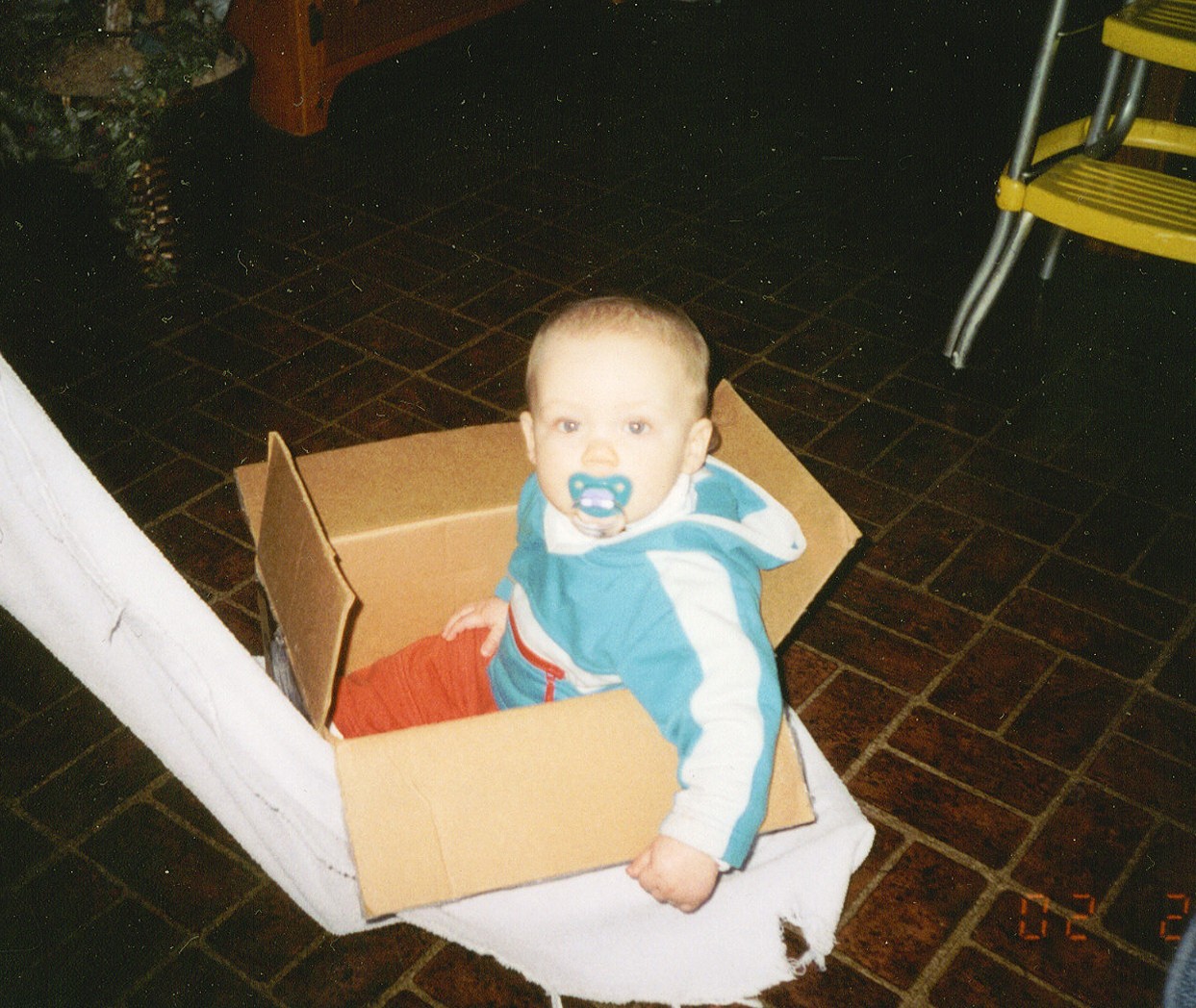 marcboxwagon.jpg